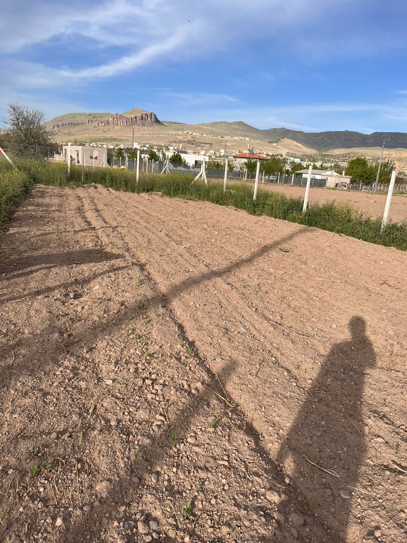 KAYSERİ DEVELİ GÜNEYAŞAĞI MAHALLESİ TEKKEFIDINI MEVKİİNDE SATILIK HOBİ BAHÇESİ